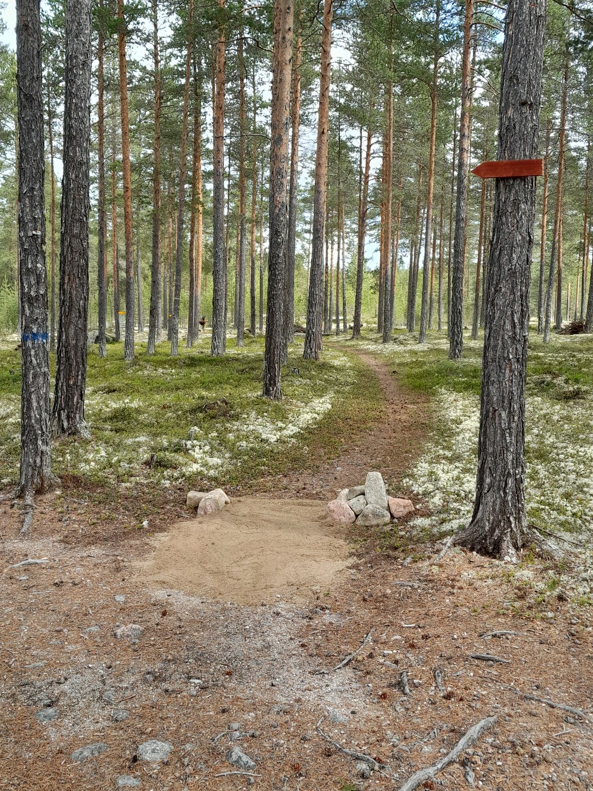 Mandatory samt dropzone på nya 8an (för att skydda utkast 13).