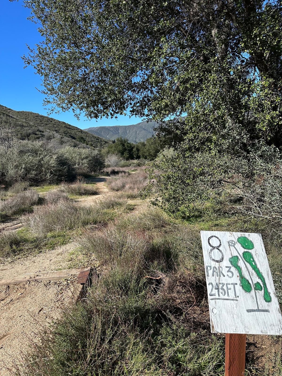 Hole 8