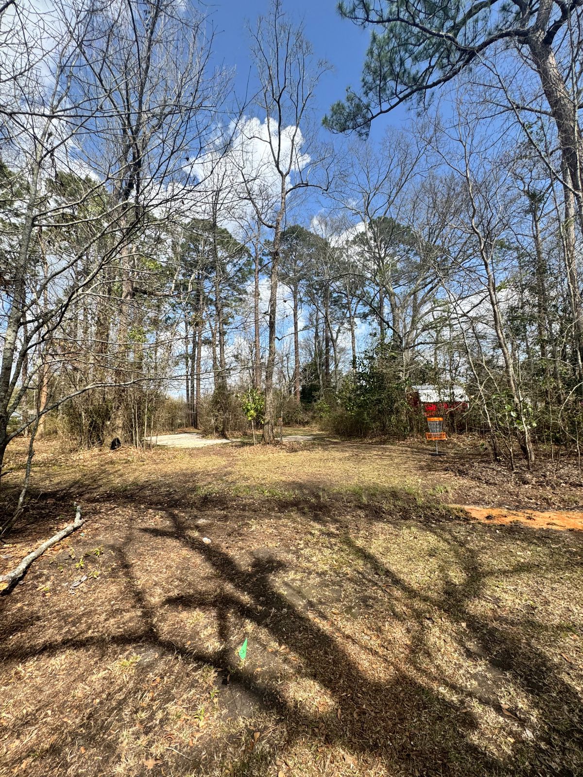 Hole 6 tee