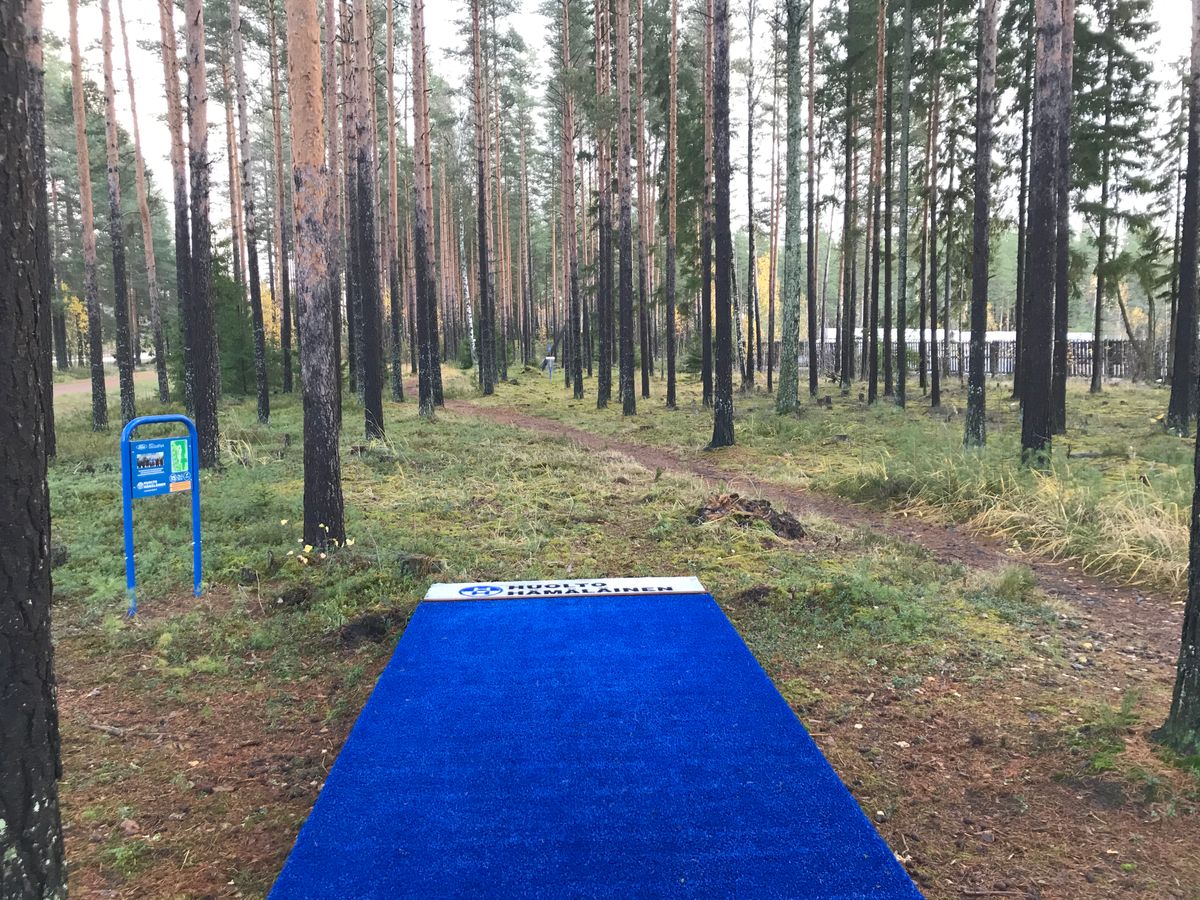 15-väylä: 59m, Par3 (suora väylä puukujaa pitkin. Myös hieman vasemman kautta mahdollista heittää)