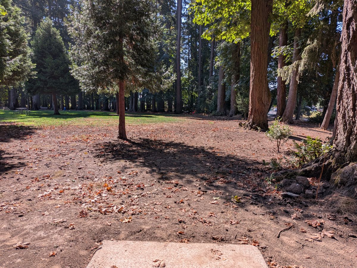 Hole 5