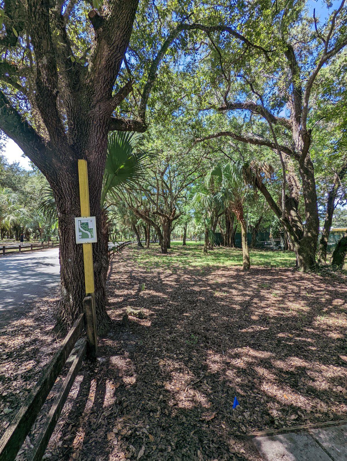 Hole 7