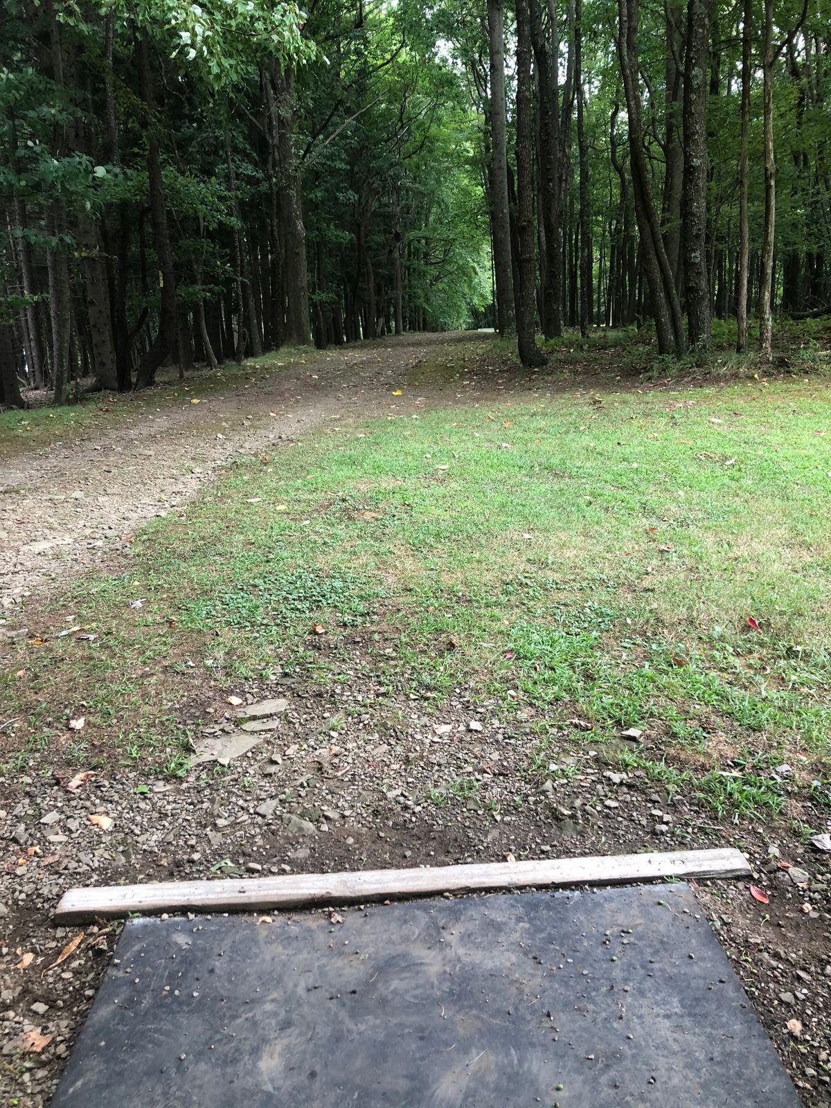 Hole 7 tee pad