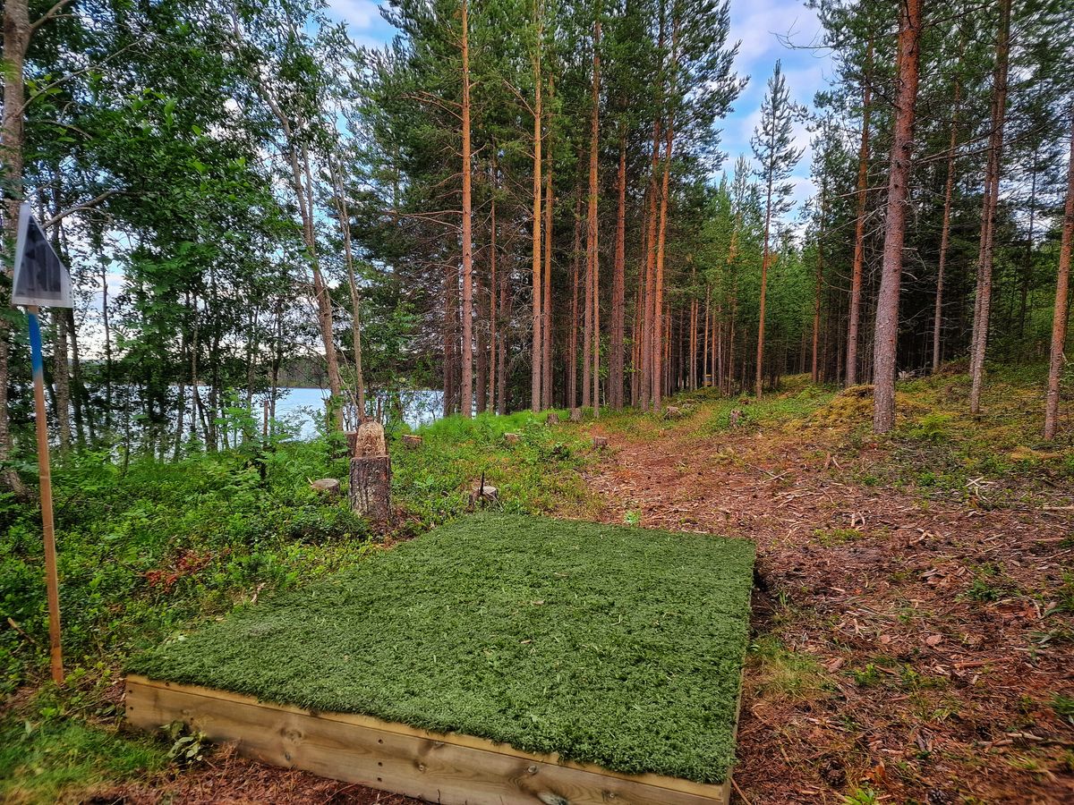 Tee 1
