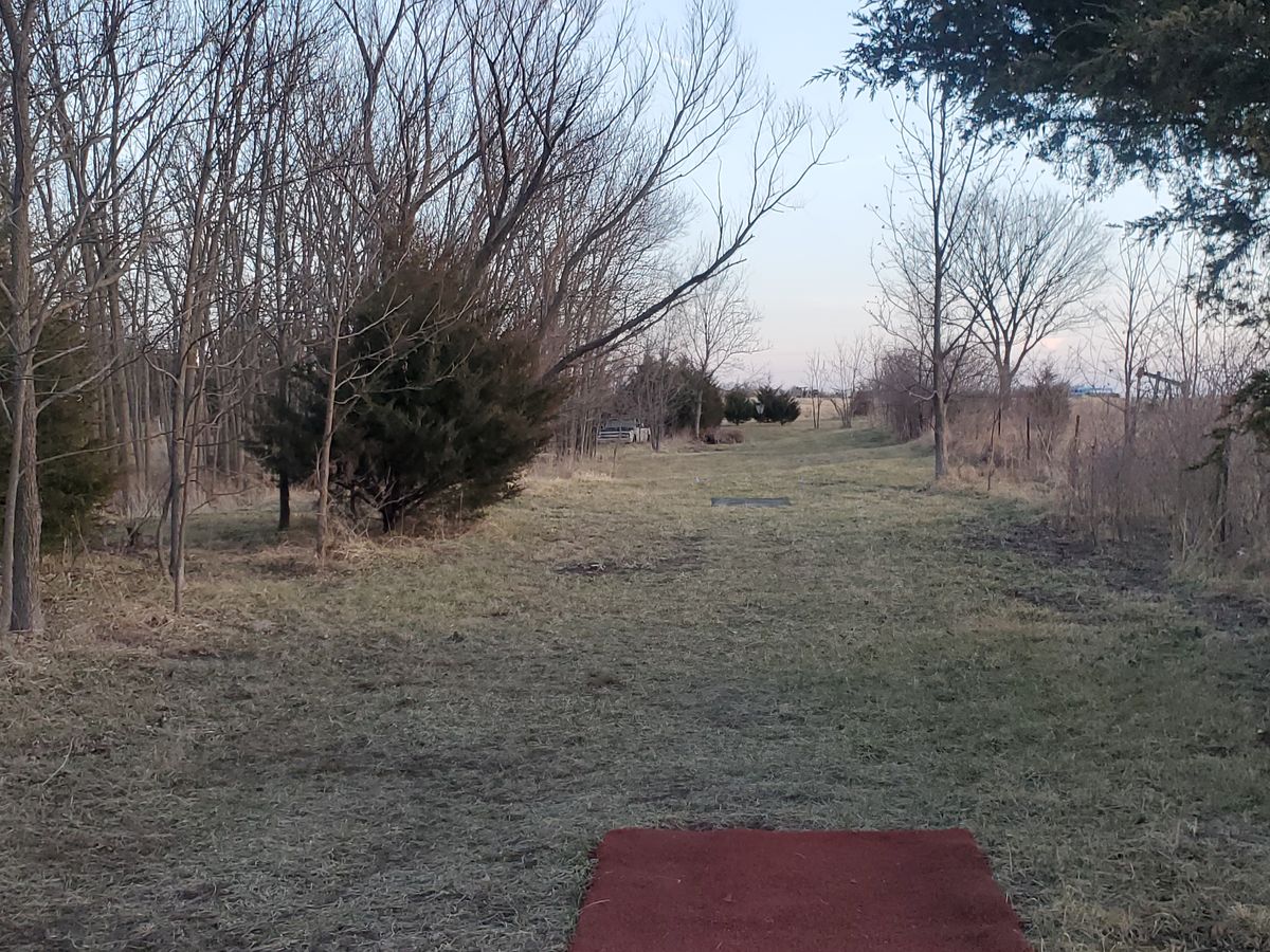 Hole 7 blue tee