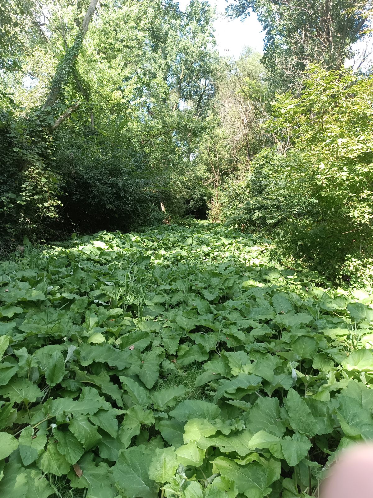 Hole 6