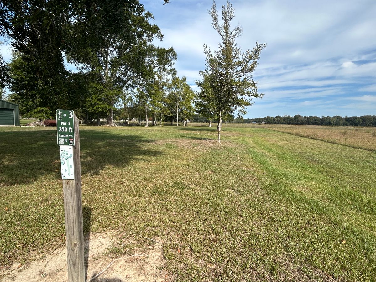 Hole 3 Fairway