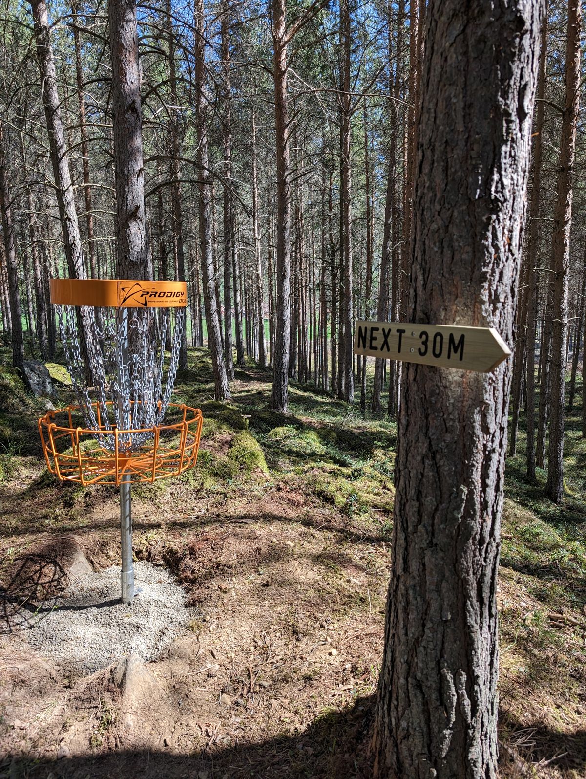 Hole 4