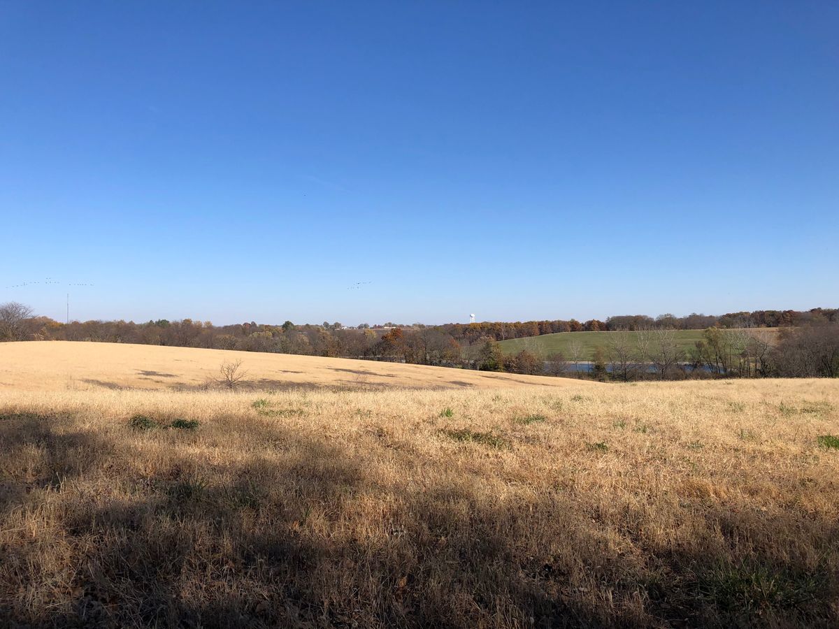 Impressive fall landscape right now.