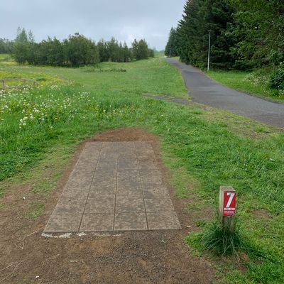 Hole 7