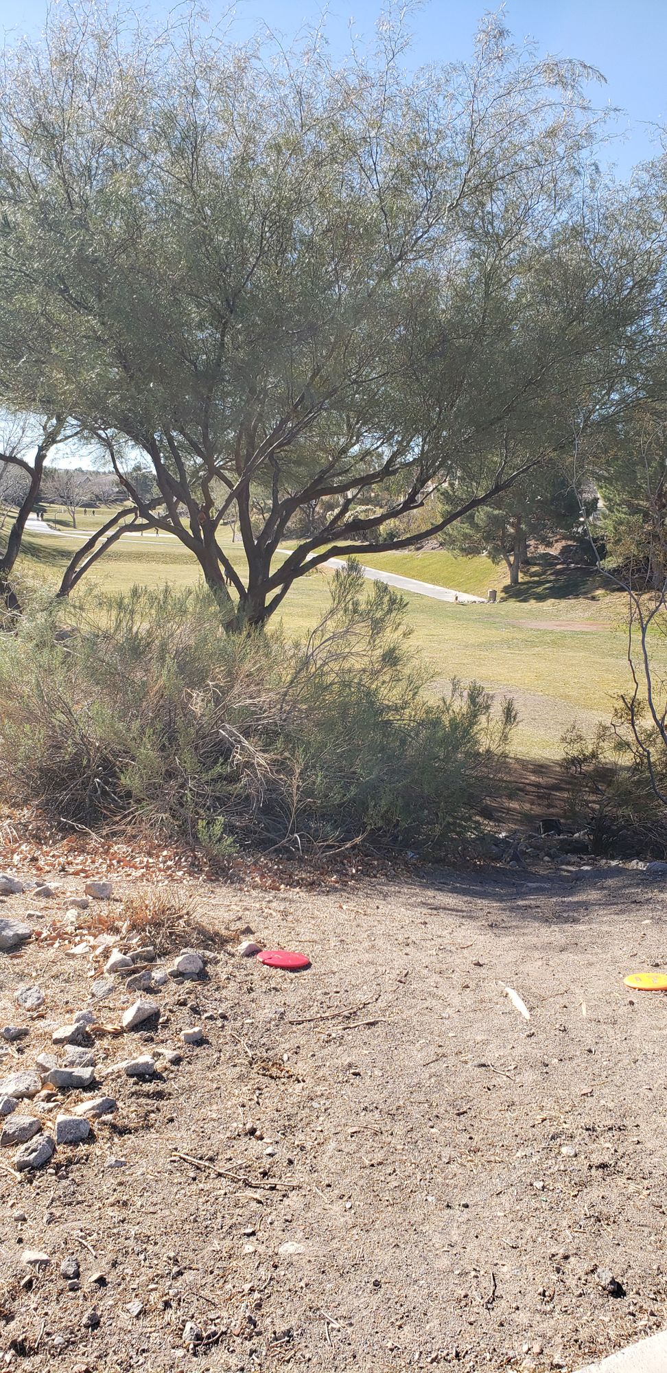 Hole 11 mandatory through the tree opening to basket 8