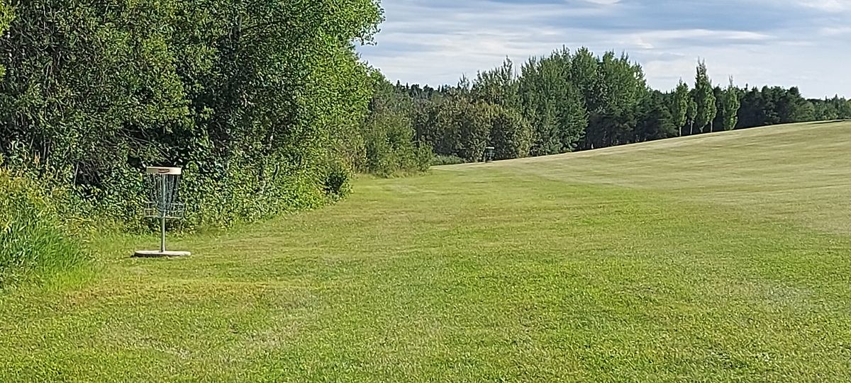 Great potential Disc Golf course needs tee signs and arrows pointing to next basket.