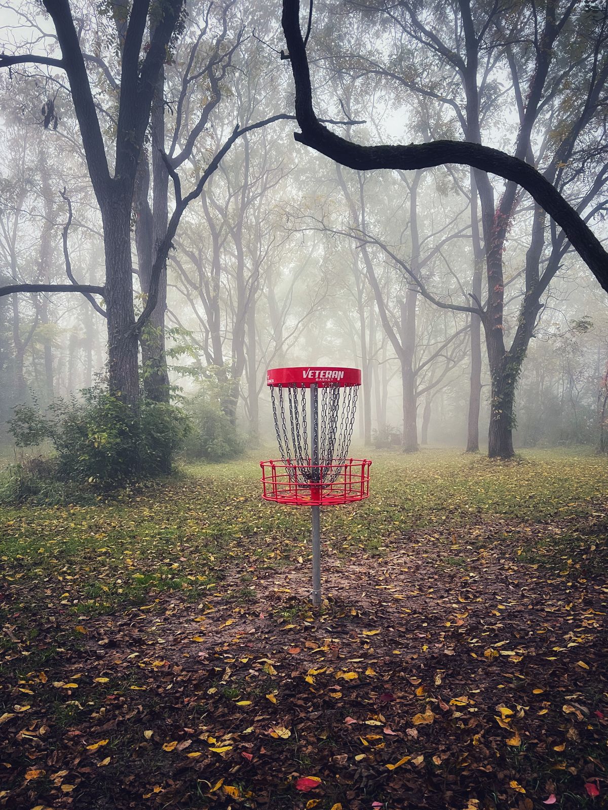 Hole 1 basket looking back towards the pad