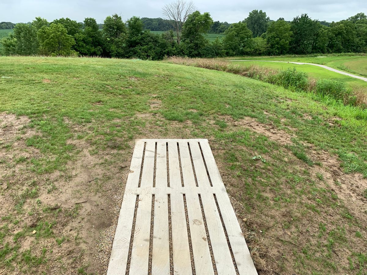 Hole 6 Tee