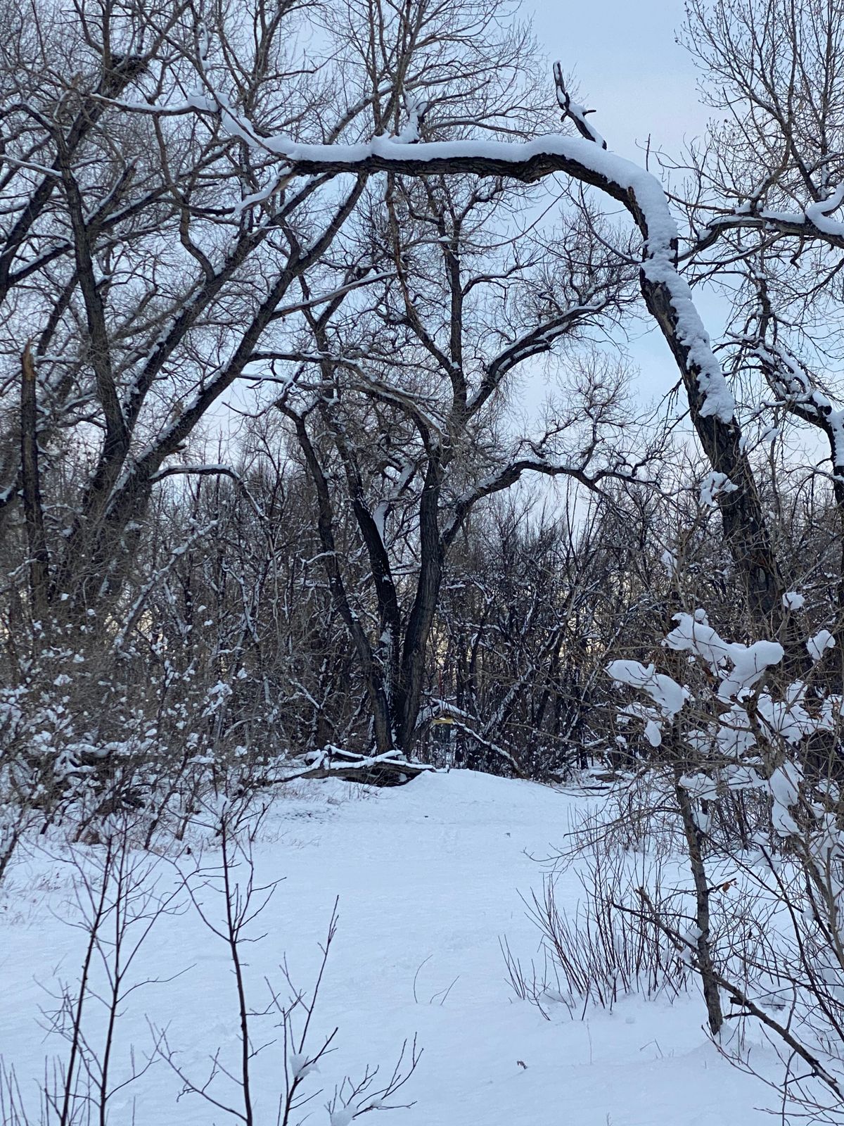 Hole #13. February 25, 2021