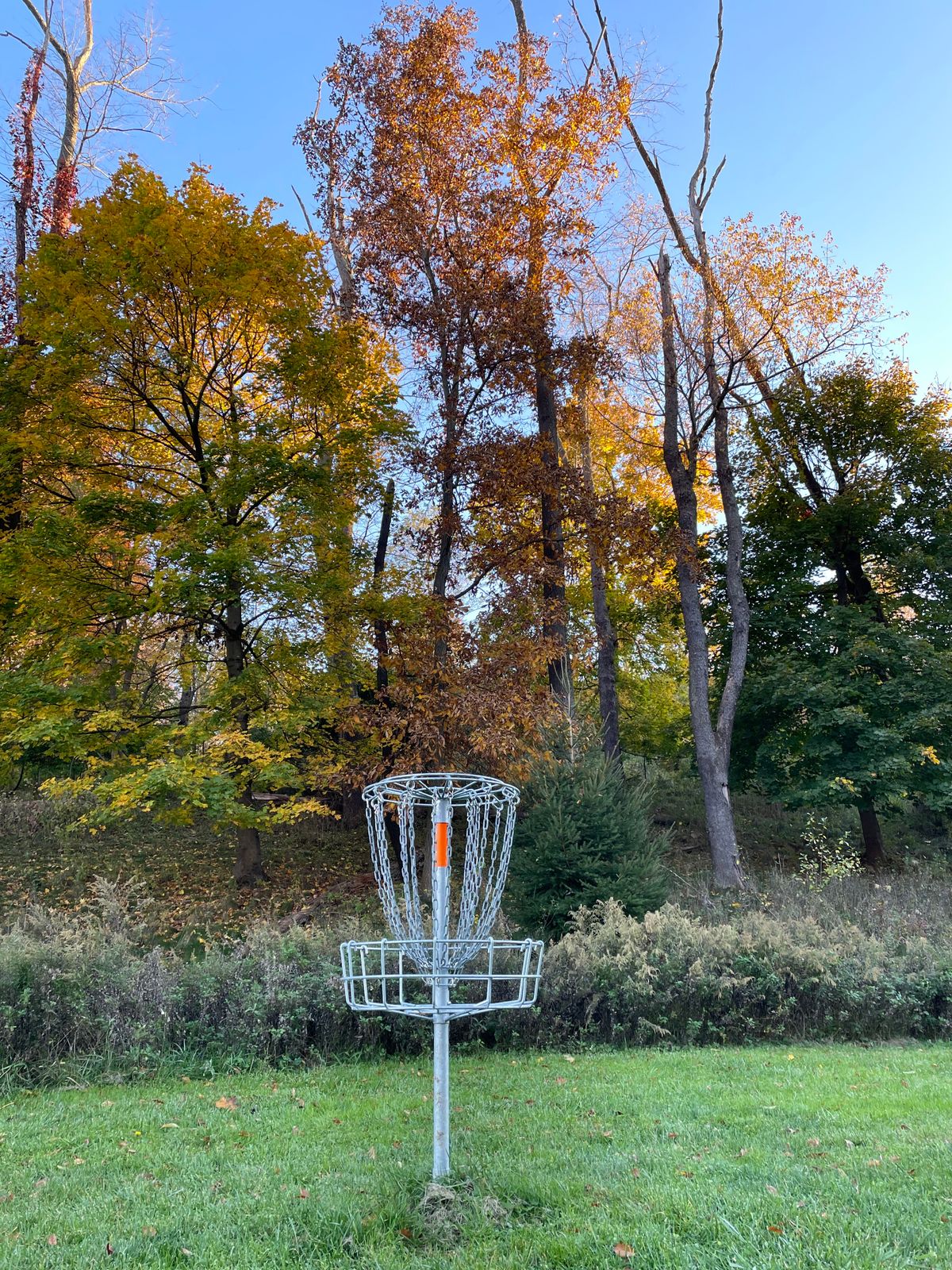 #2 basket