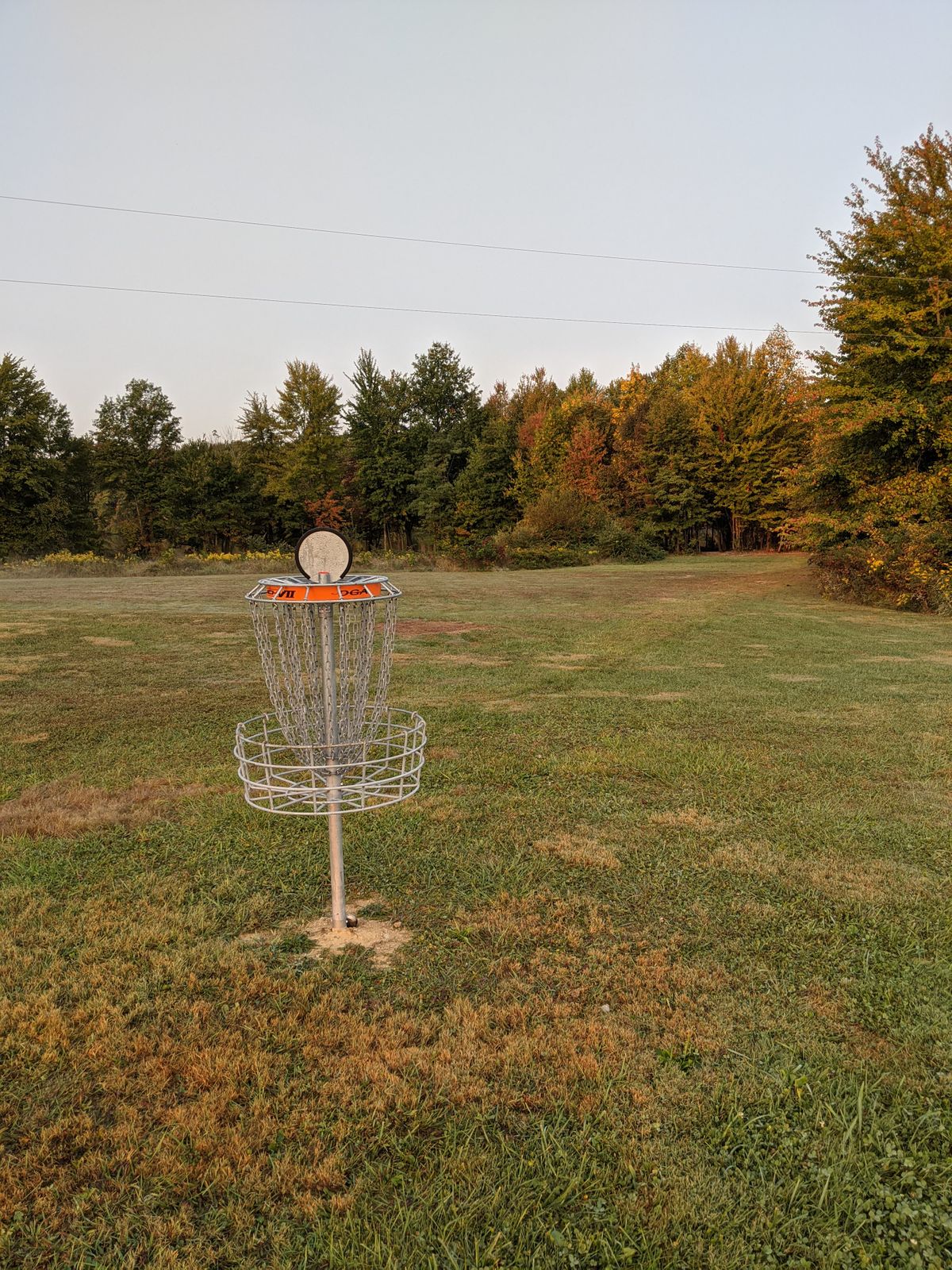 Basket 7 looking back