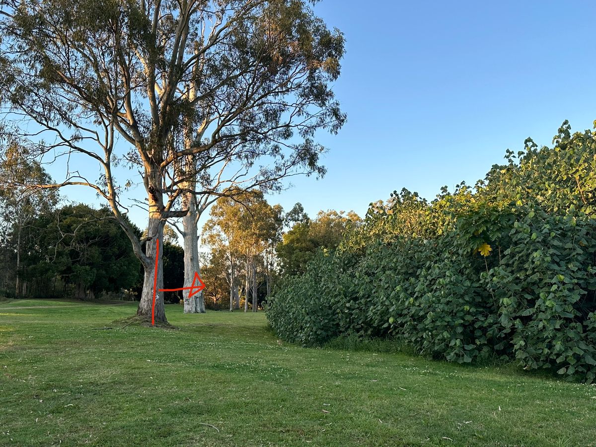 View from tee 20