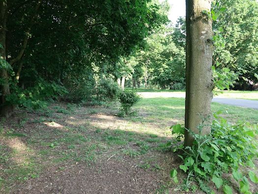 Tee 17