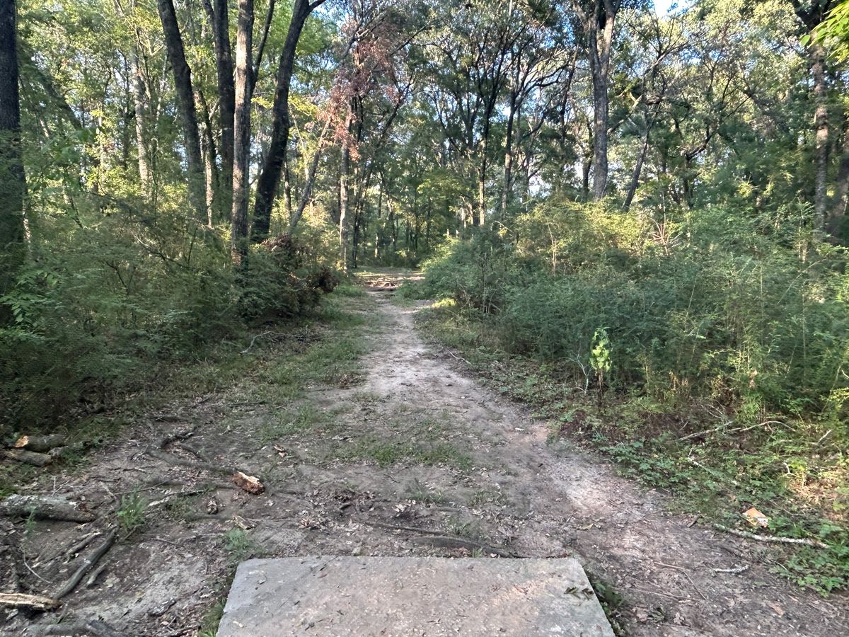 Hole 4 Fairway
