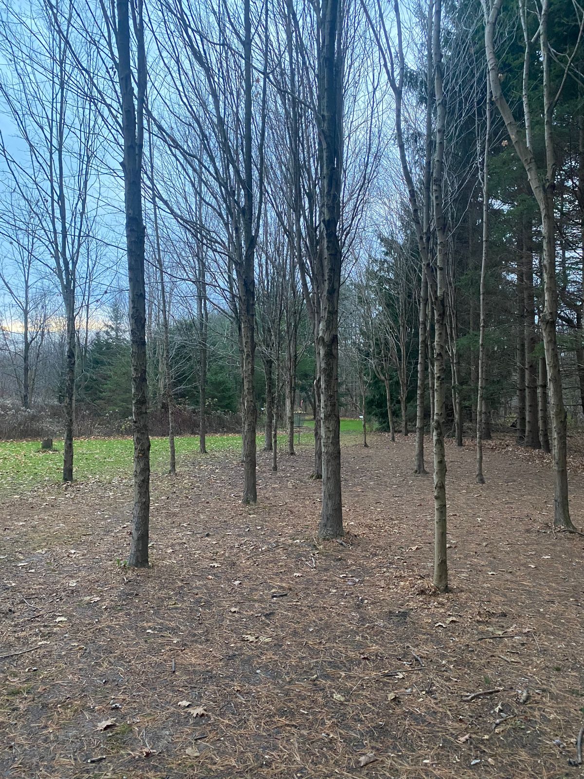 Hole 4