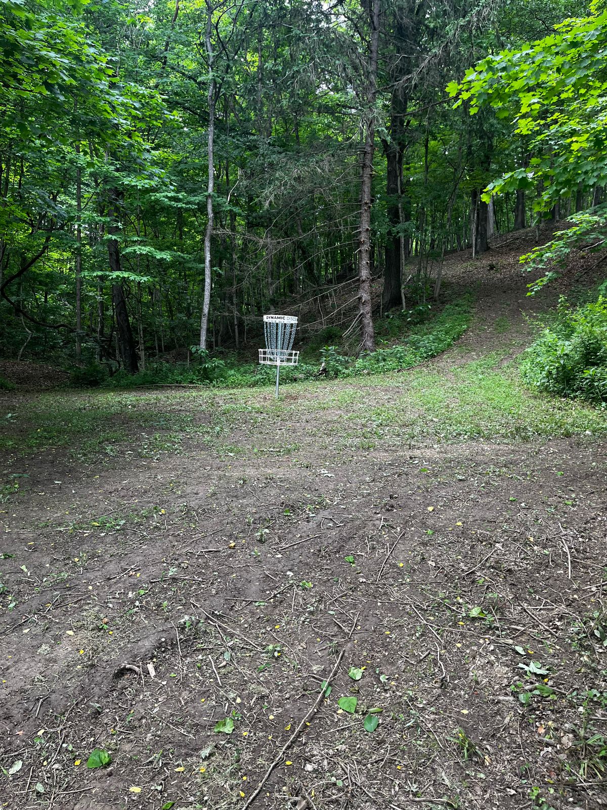 Hole 18 behind green