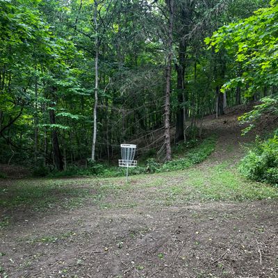 Hole 18 behind green