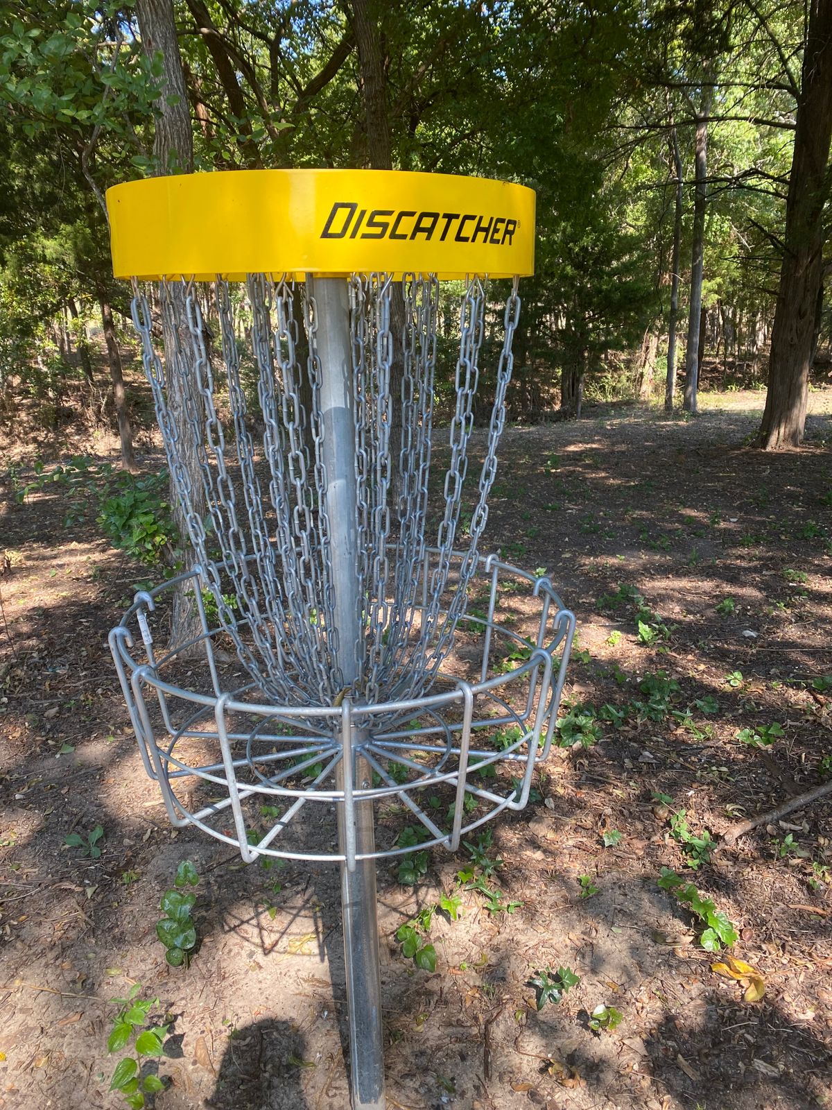 Hole 6 basket