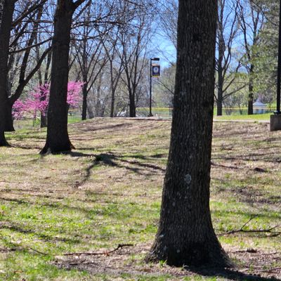 Hole 11 Tee