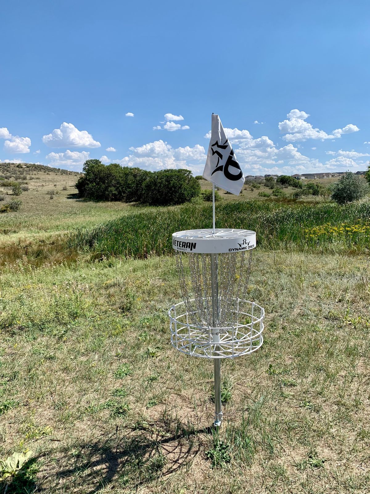 Hole 11 basket