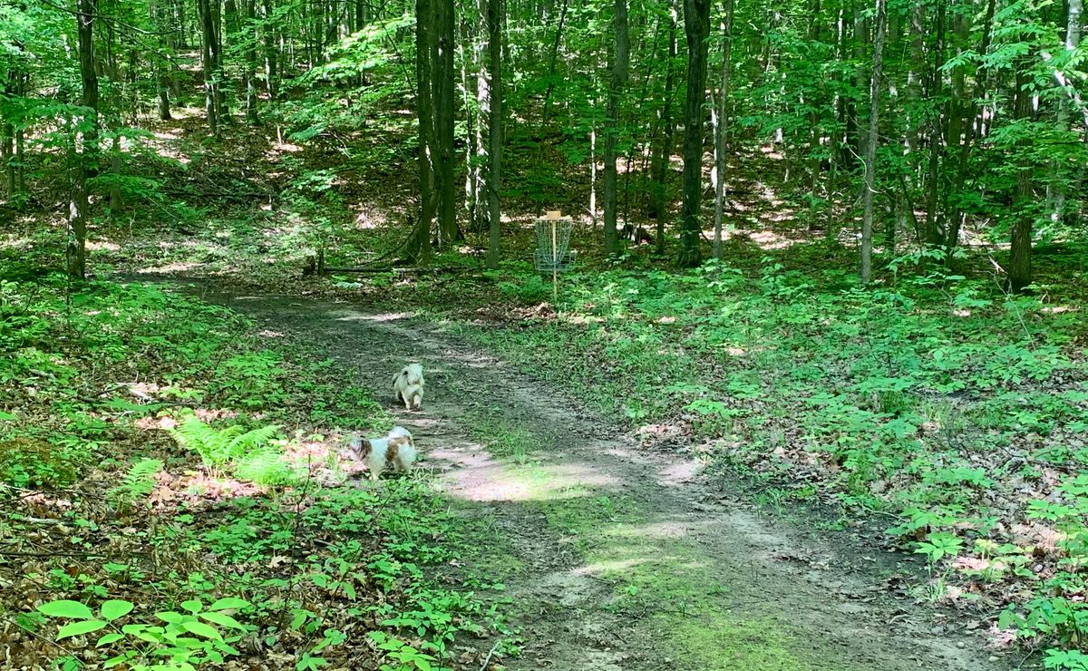 Hole 12