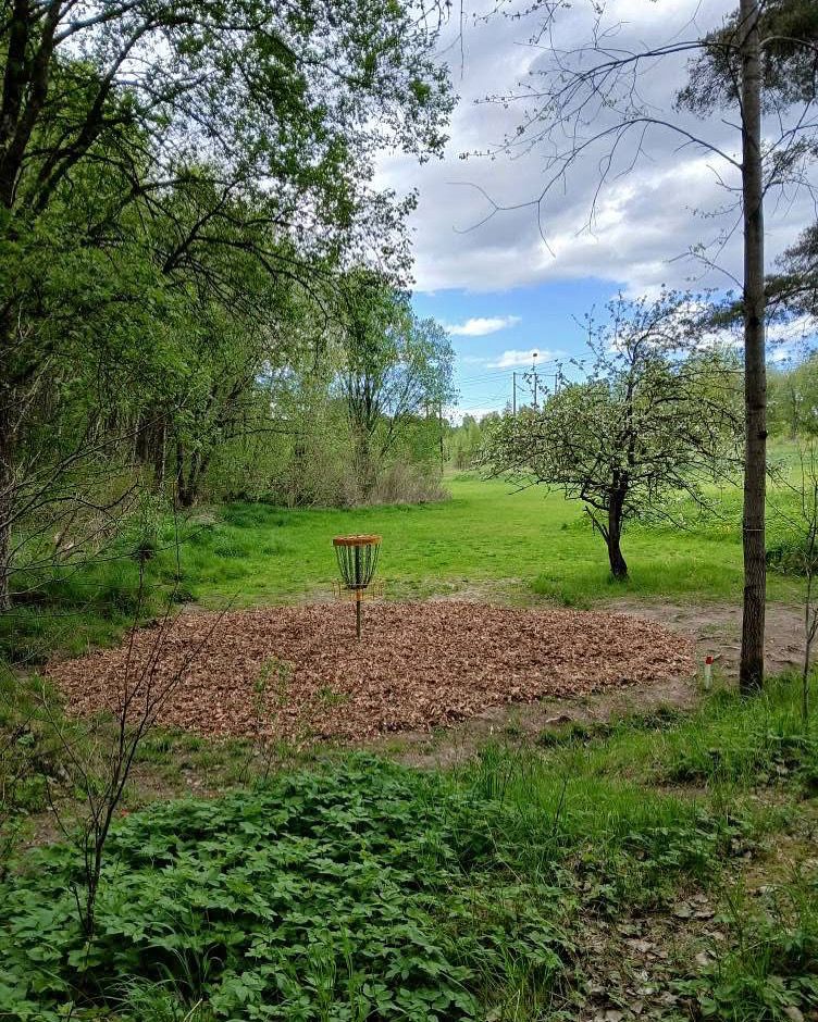 Hål 4 green