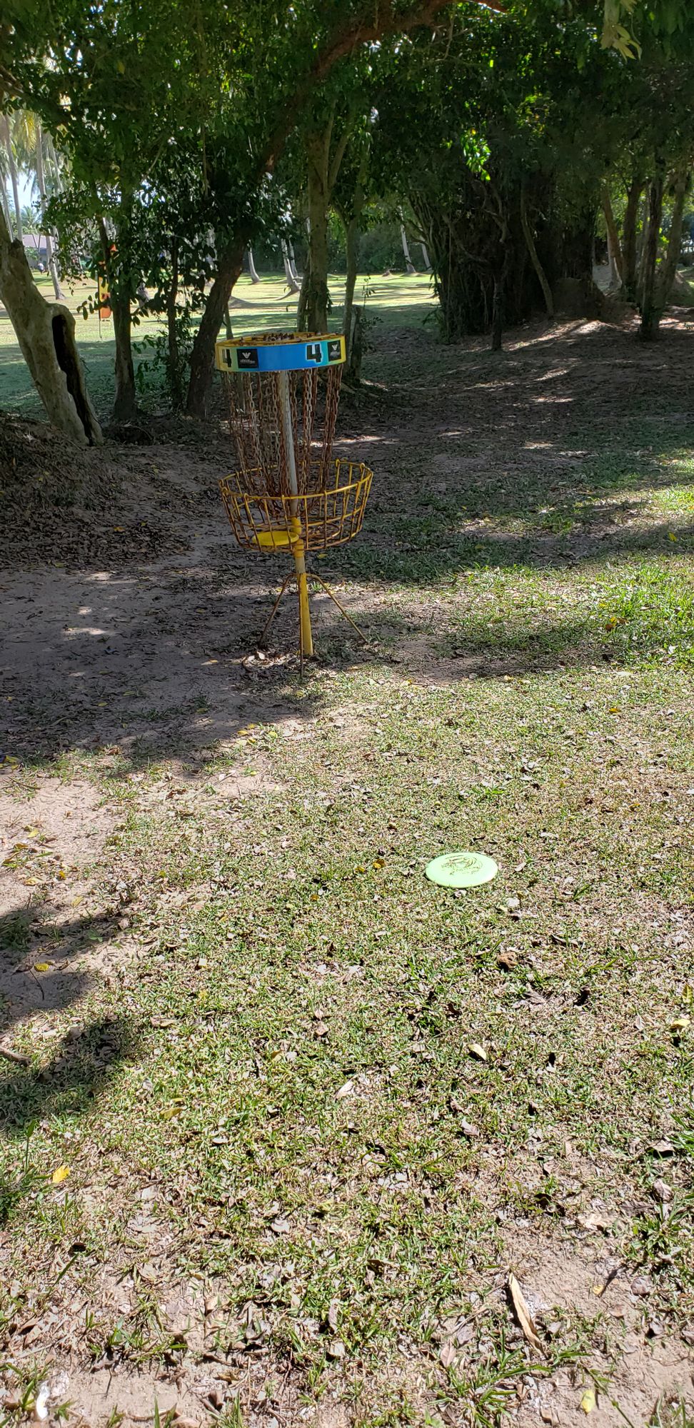 Hole 4 basket looking back towards the fairway to the far right in the picture and off the fairway behind the treeline center/left in photo