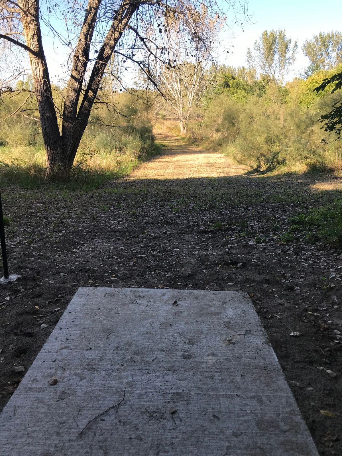 Hole 6 Long Pad
