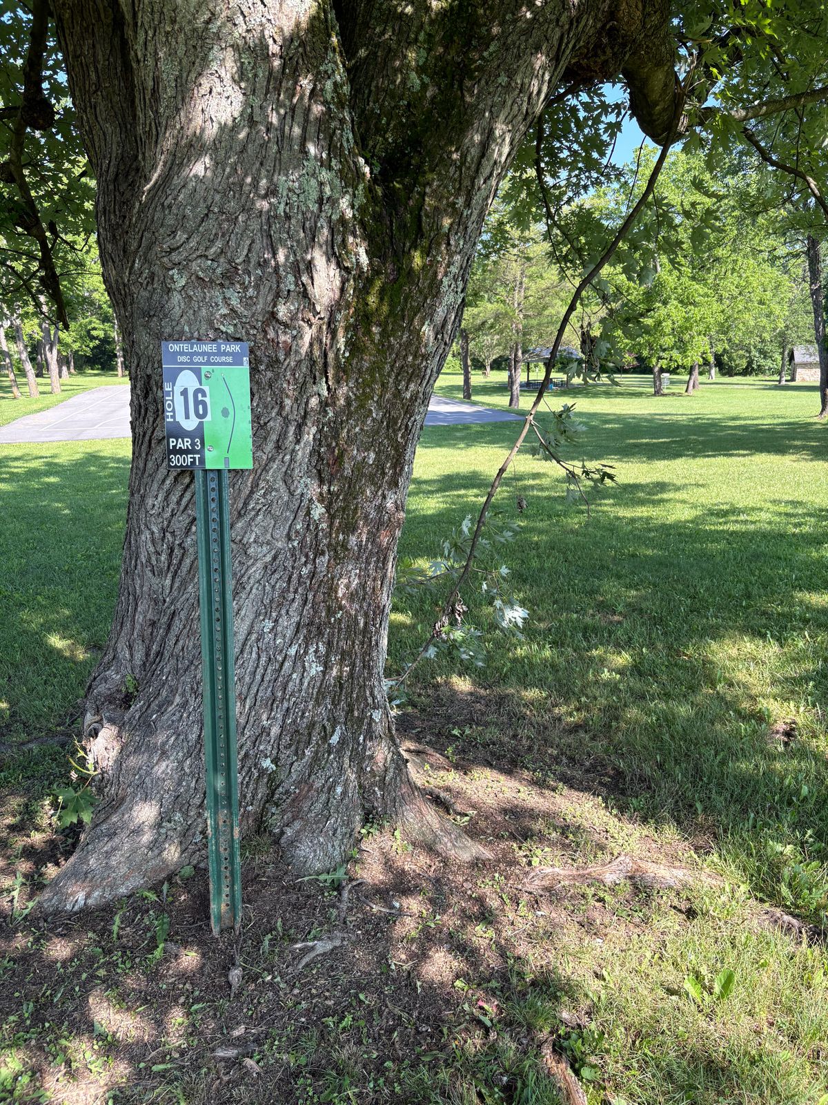 16th tee