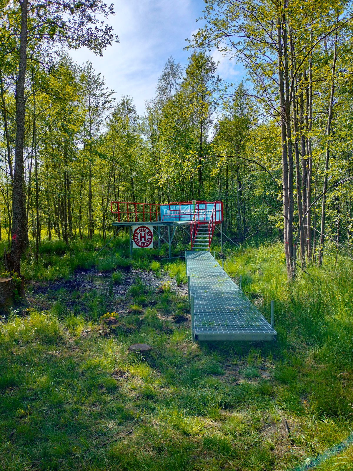 Utkast Röd hål 12
Tee Red layout hole 12
