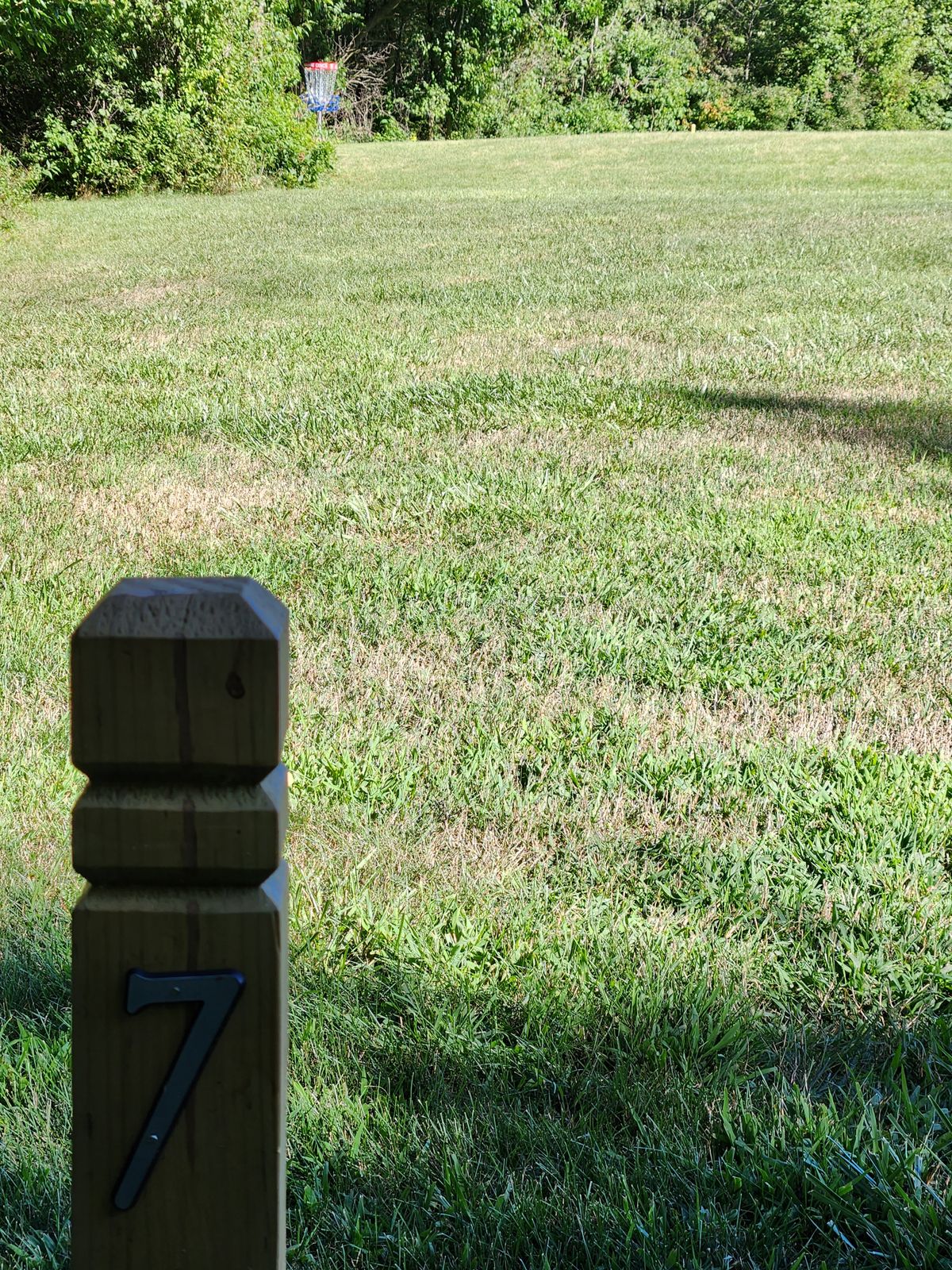 Hole 7 Basket view from the tee