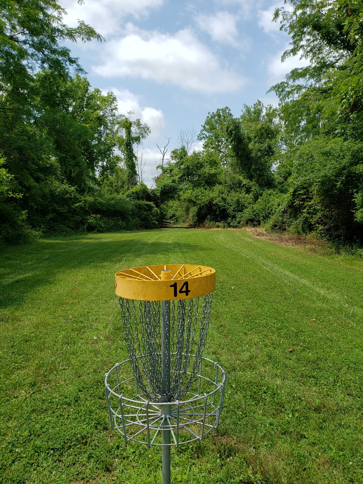 #14 Green and path to #15.