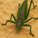 User avatar image