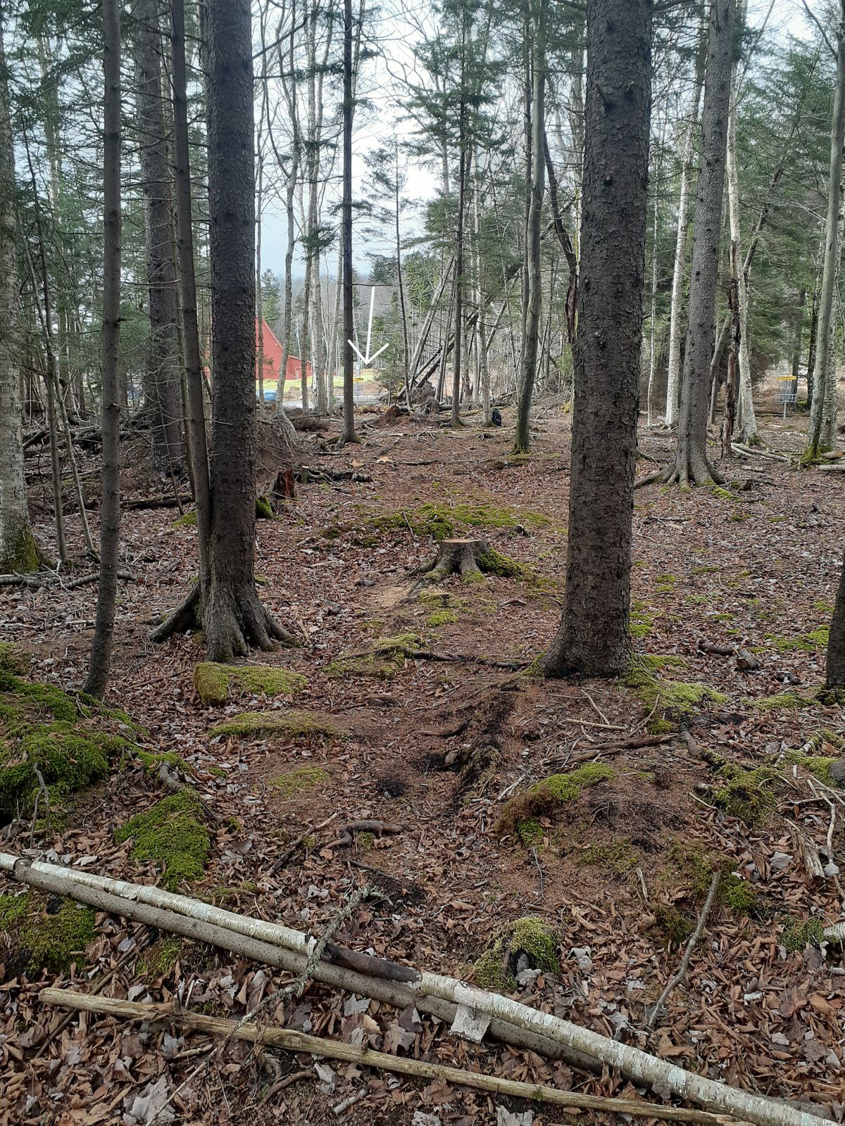 Hole #9 Leads into the Parking lot behind Old Spruce.