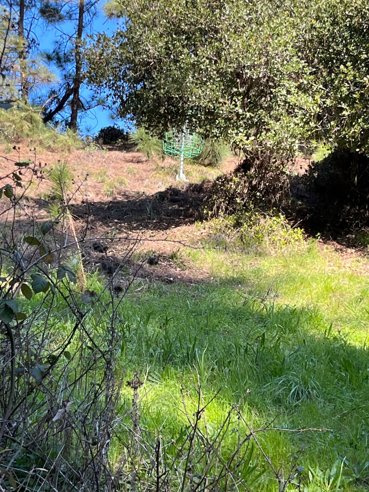 Ridiculous green basket placement on 5.