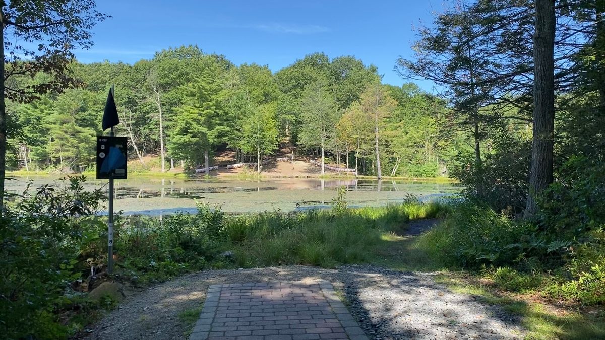Tee box of Diamond 8