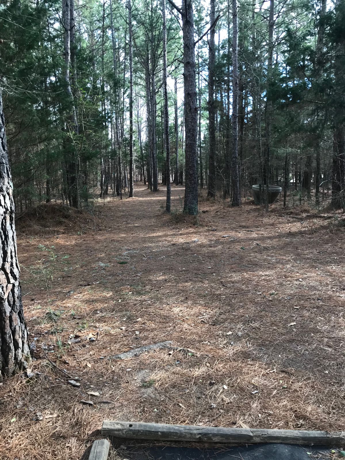Hole 11: Fairway