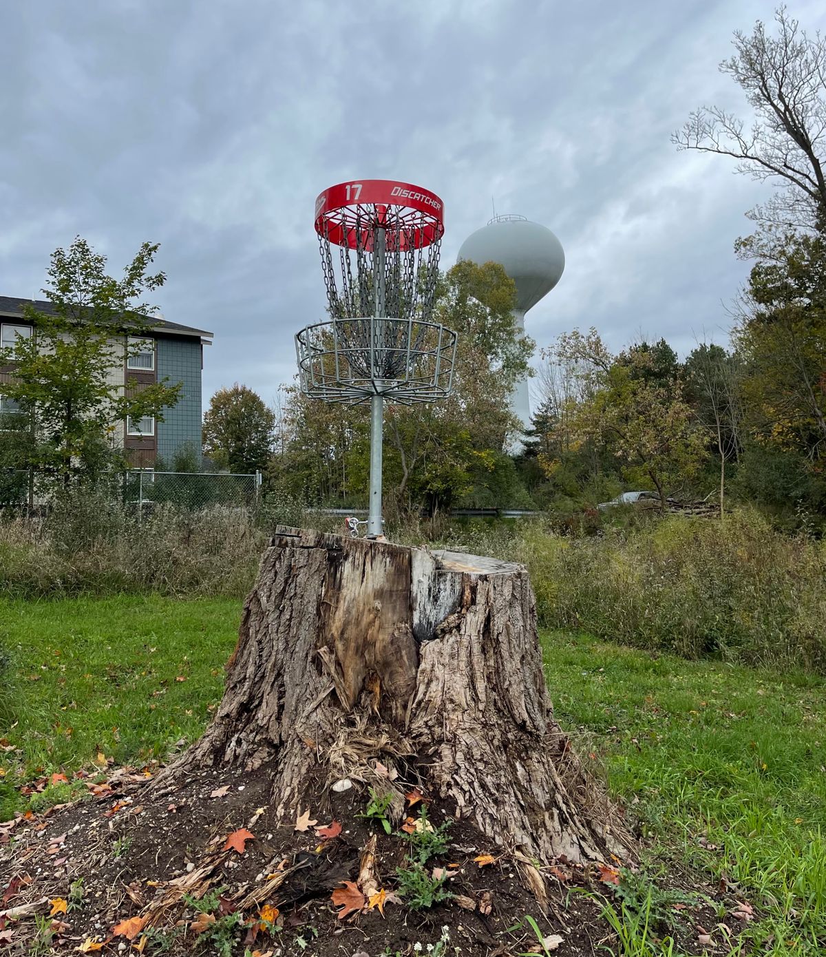 Basket 17
