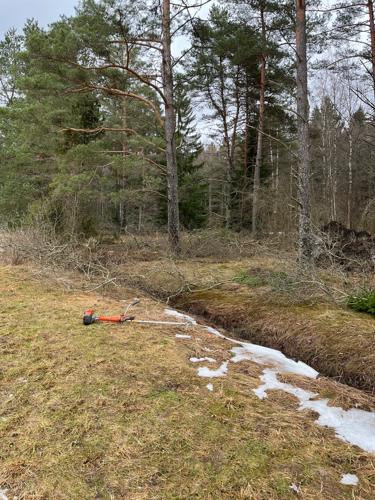 Hål 11 slyröjs.