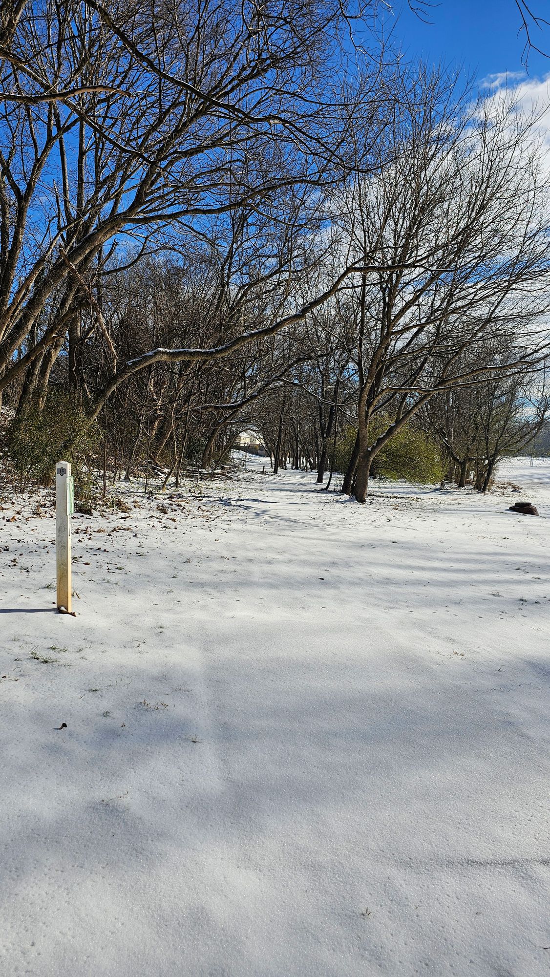 HOLE 10 SNOWHOLE