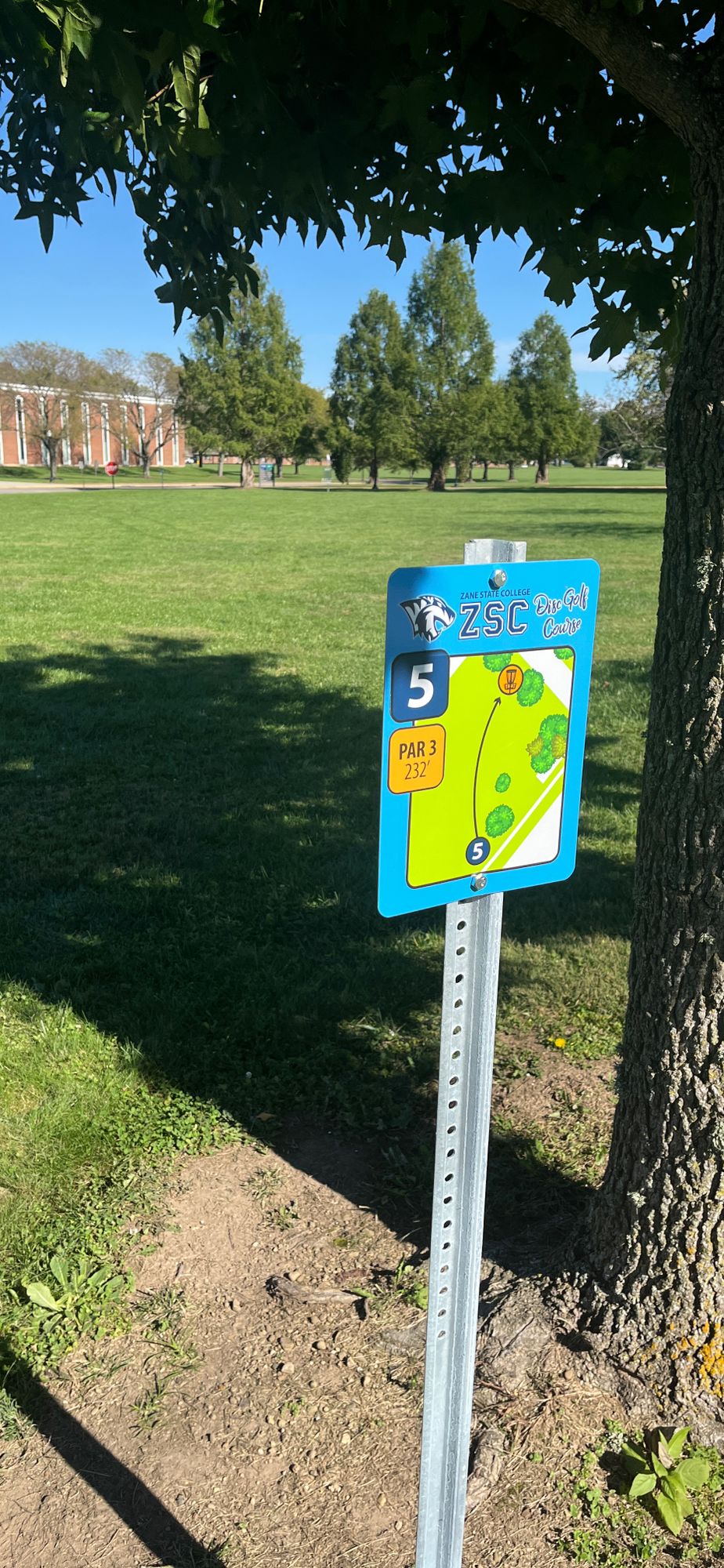 Hole 5 tee pad