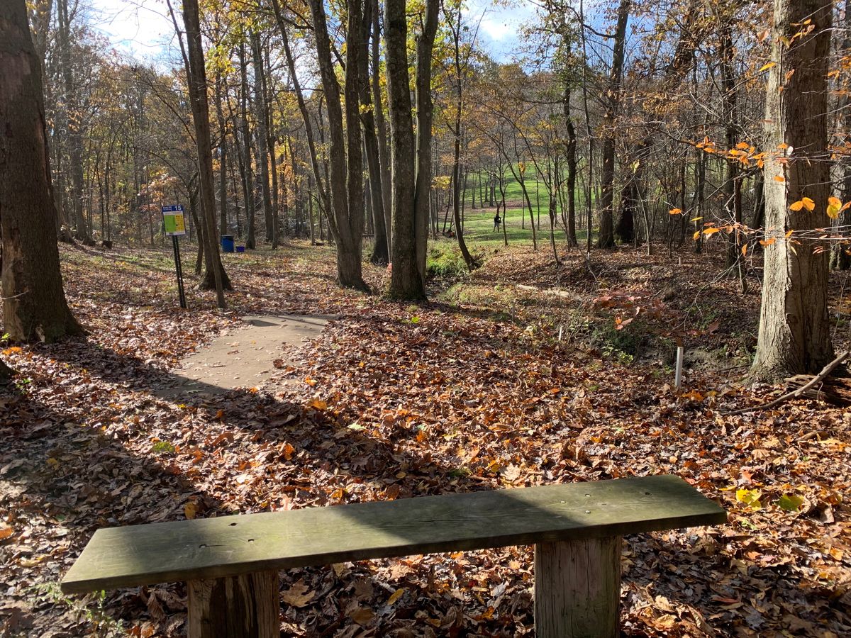 Hole 15 Blue tee