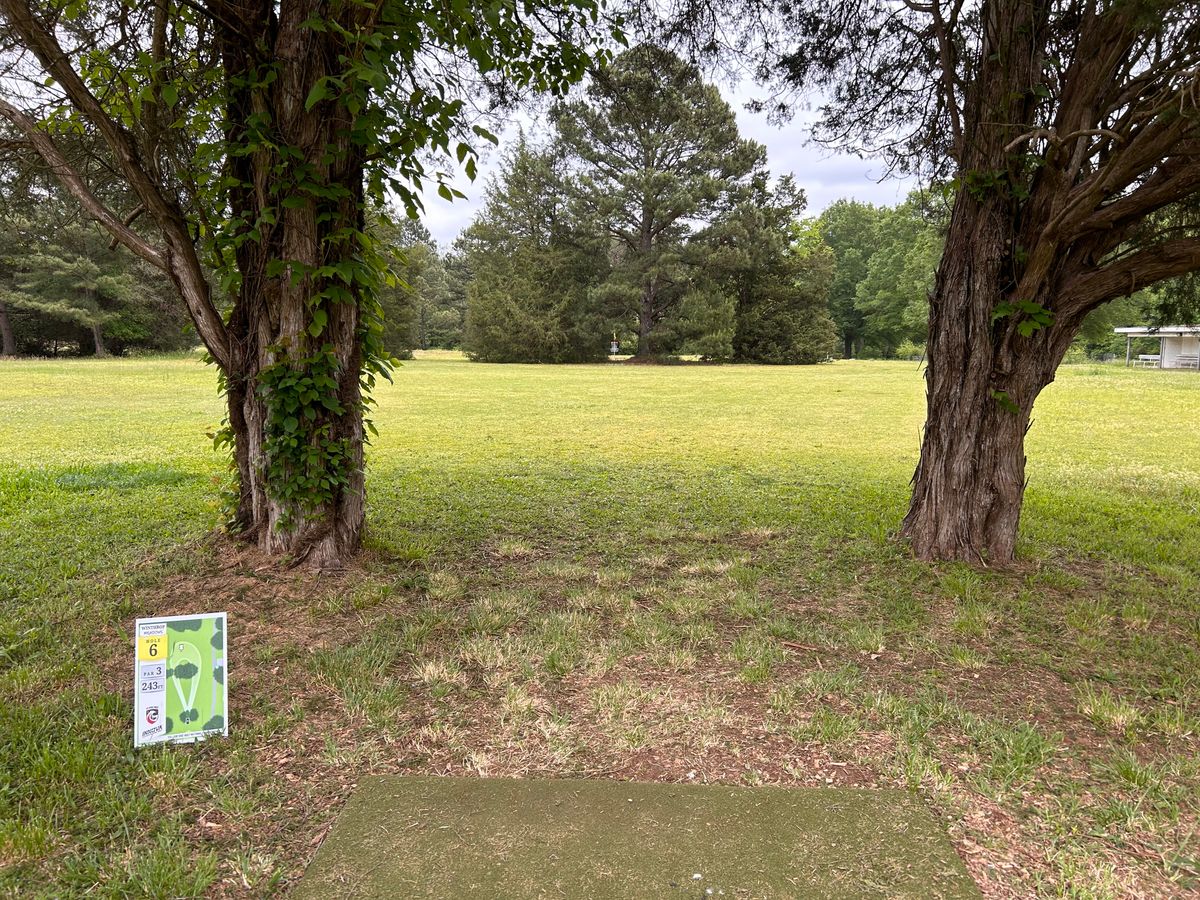 Hole 6 from the tee