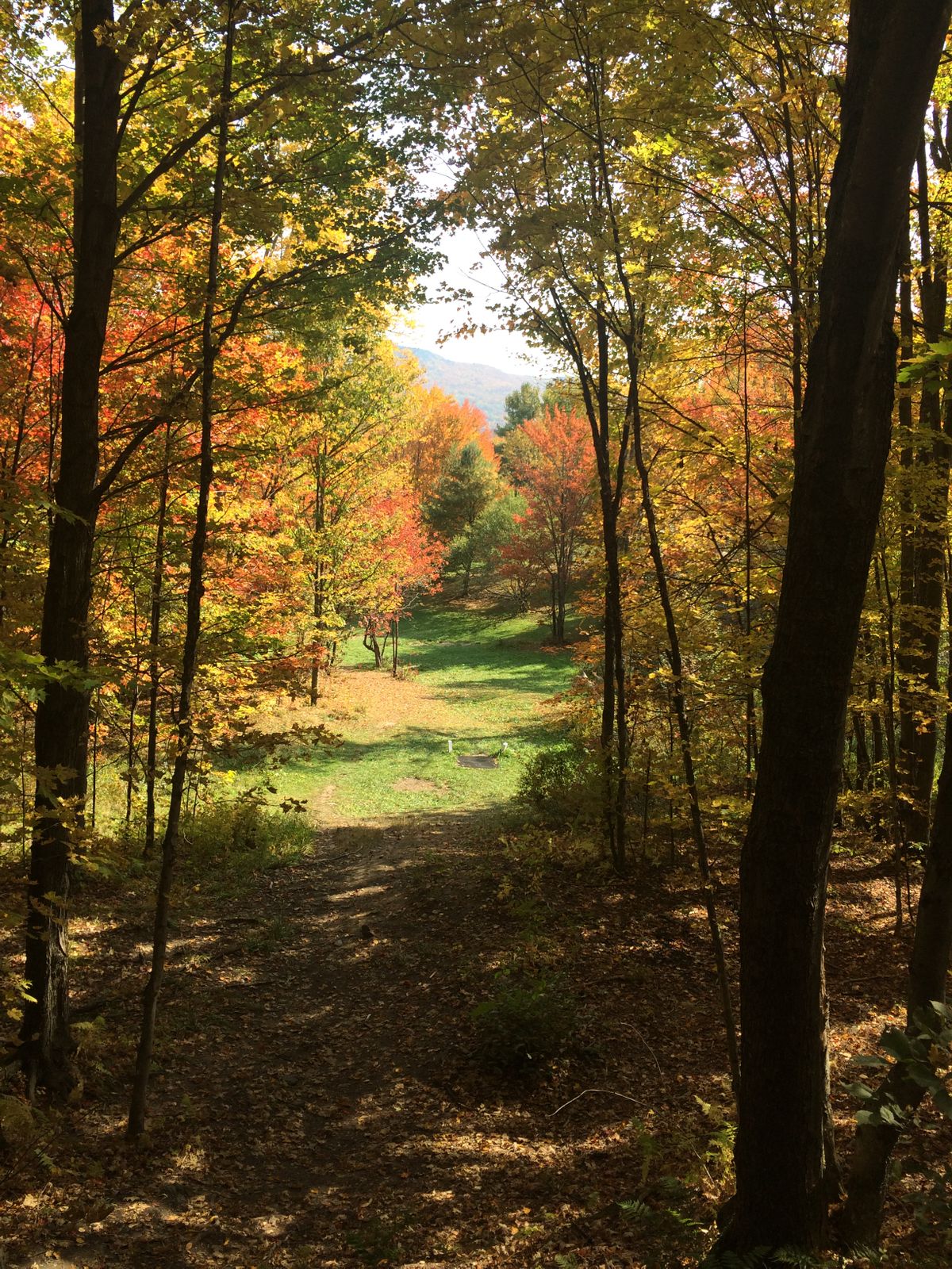 Hole 4